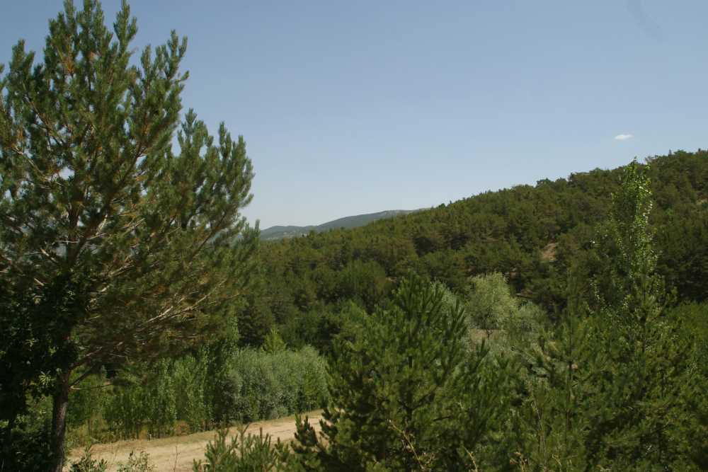Akdağmadeni Kadıpınarı Yaylası
